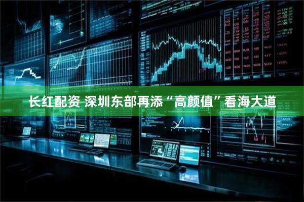 长红配资 深圳东部再添“高颜值”看海大道