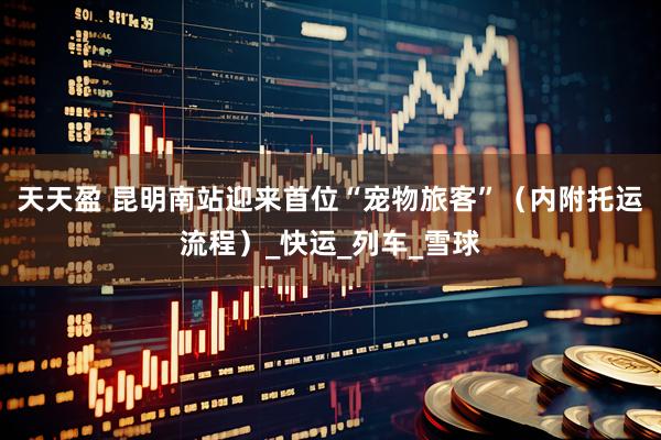 天天盈 昆明南站迎来首位“宠物旅客”（内附托运流程）_快运_列车_雪球