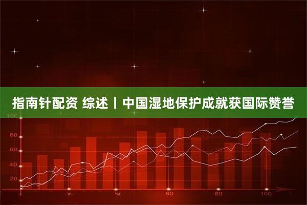 指南针配资 综述丨中国湿地保护成就获国际赞誉