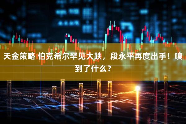 天金策略 伯克希尔罕见大跌，段永平再度出手！嗅到了什么？