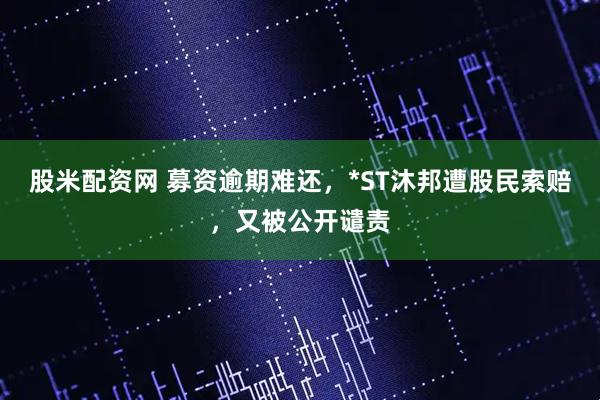 股米配资网 募资逾期难还，*ST沐邦遭股民索赔，又被公开谴责
