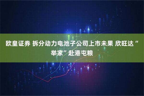 欧皇证券 拆分动力电池子公司上市未果 欣旺达“举家”赴港屯粮