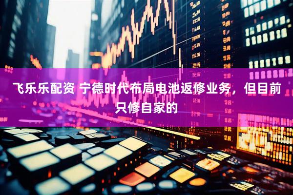 飞乐乐配资 宁德时代布局电池返修业务，但目前只修自家的