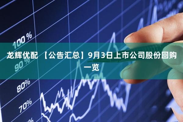 龙辉优配 【公告汇总】9月3日上市公司股份回购一览