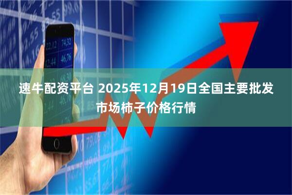 速牛配资平台 2025年12月19日全国主要批发市场柿子价格行情